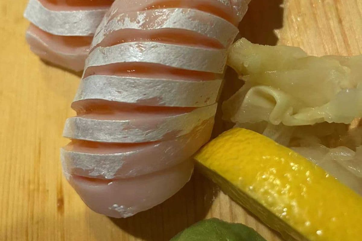 Salmon Belly Negiri