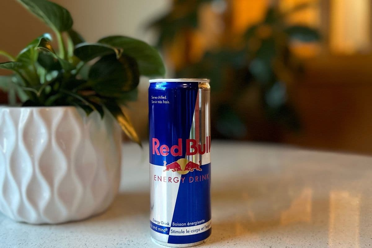 Red Bull (250 ml)