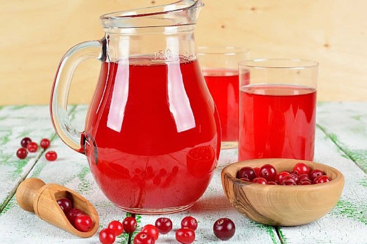 Homemade Cranberry Mors (500 ml bottle)