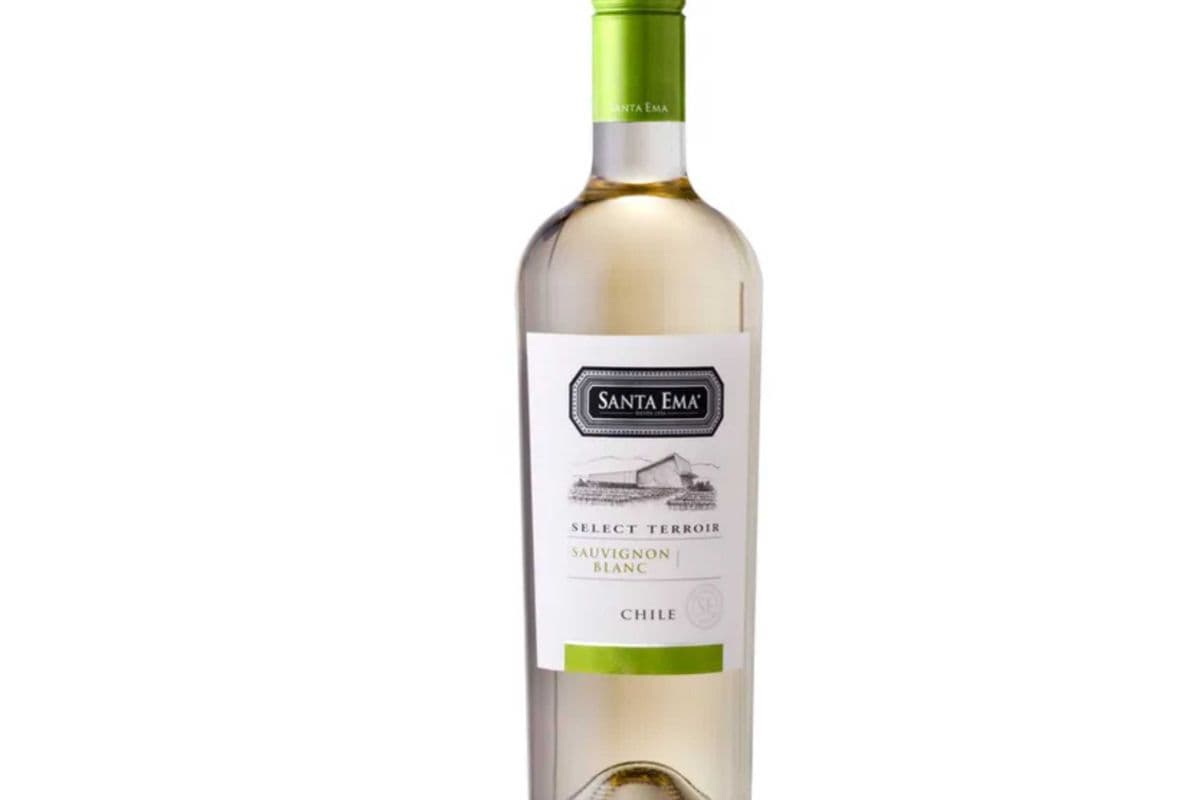 Santa Ema Sauvignon Blanc (750 ml Bottle) (1 x 750 ML )