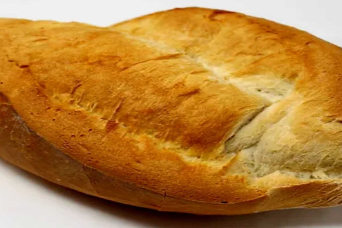 Sourdough