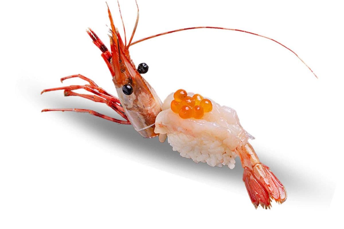 Sweet Shrimp (Sushi 2 pcs)