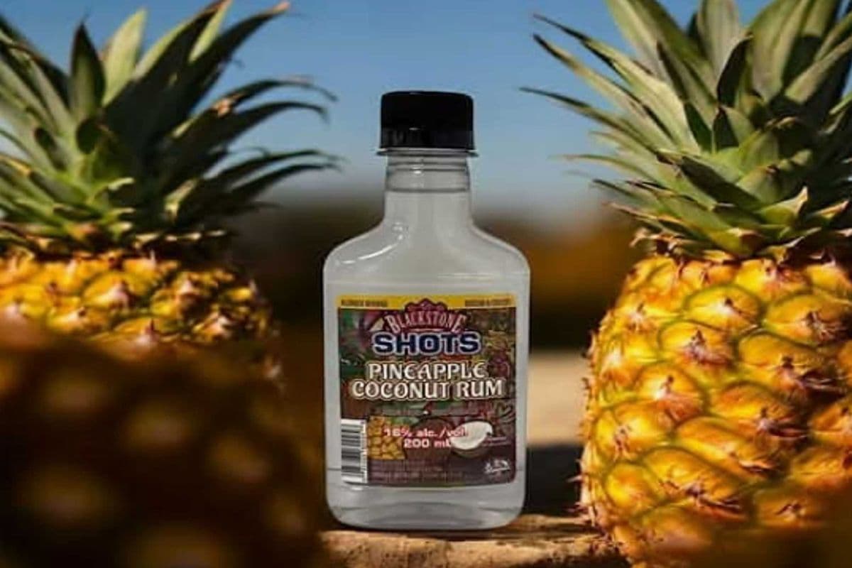 BLACKSTONE SHOTS - PINEAPPLE COCONUT RUM (1 x 200ML)