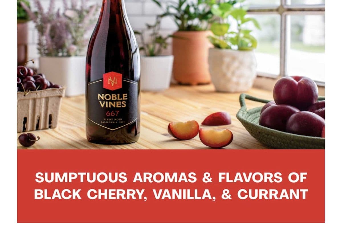 NOBLE VINES PINOT NOIR-750ML (1 x 750 ML )