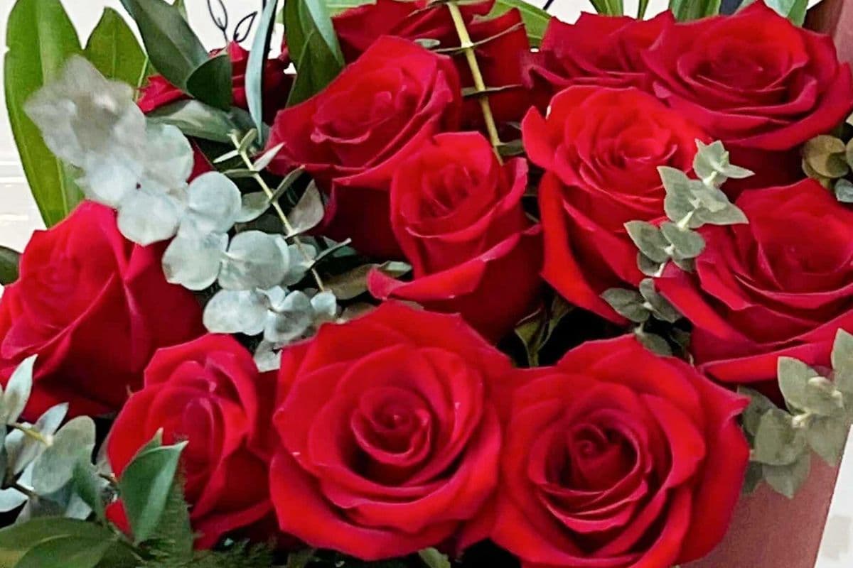 Signature Dozen Red Roses Bouquet