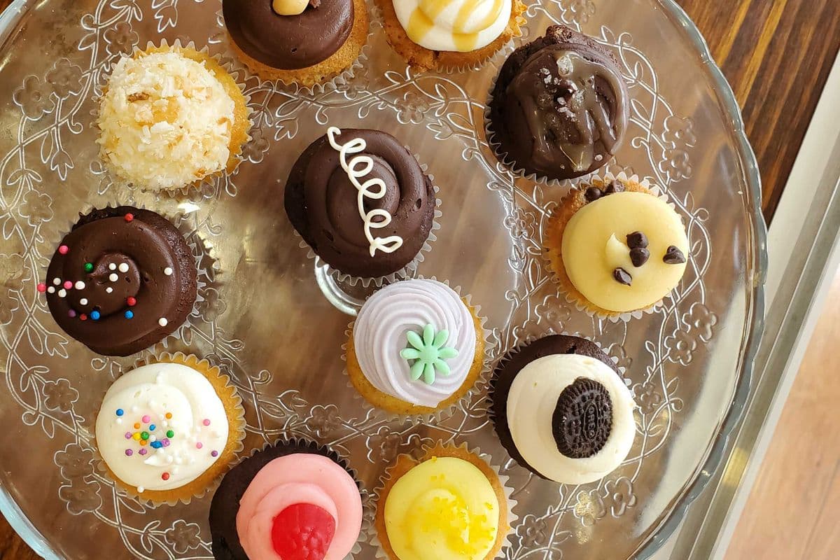 Assorted Dozen Minis