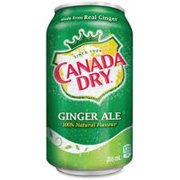 Ginger Ale  (355ml)