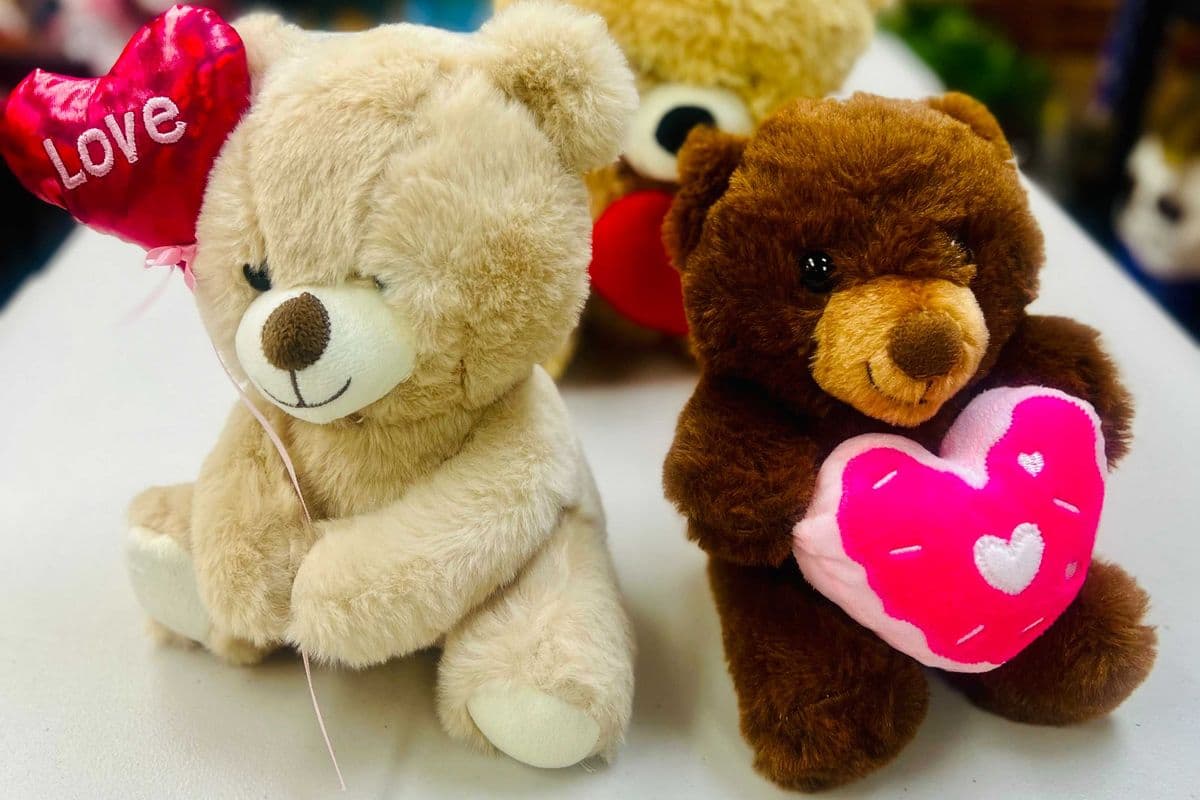 Valentine Special teddy