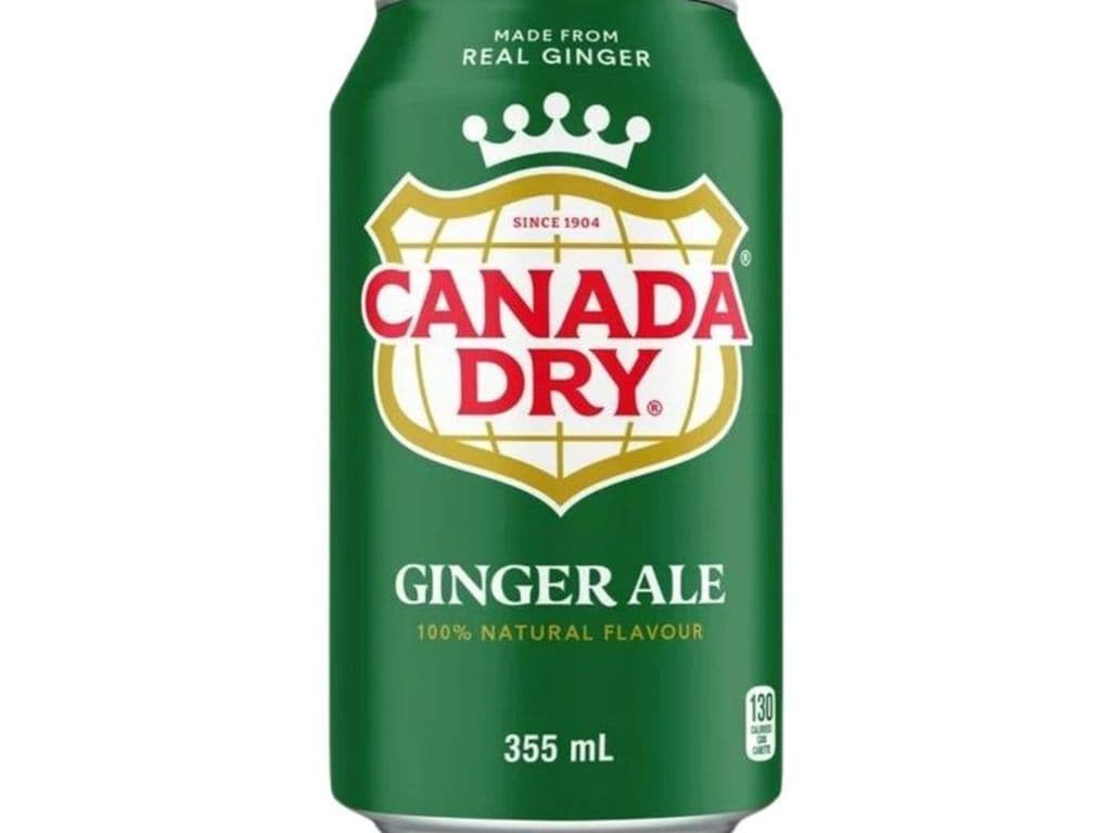 Ginger Ale 355ml Can