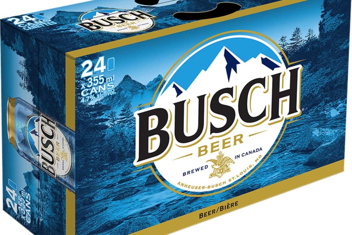 BUSCH (24 x 355ml)