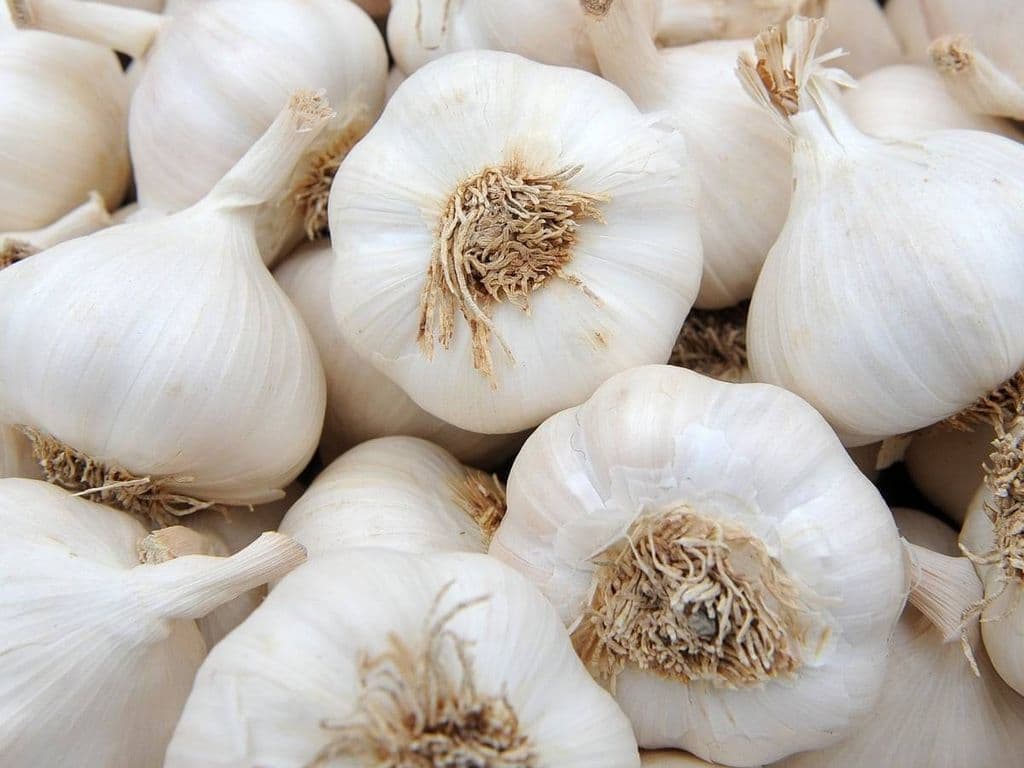 Garlic Organic (2 pcs)
