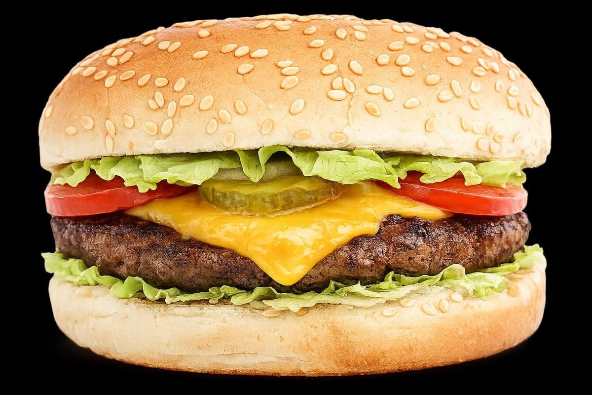 Homemade Cheese Burger Sandwich