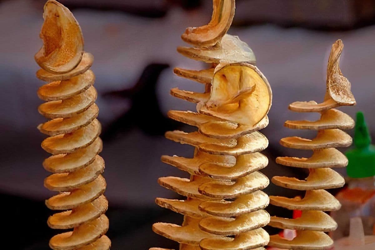 Twister Fries