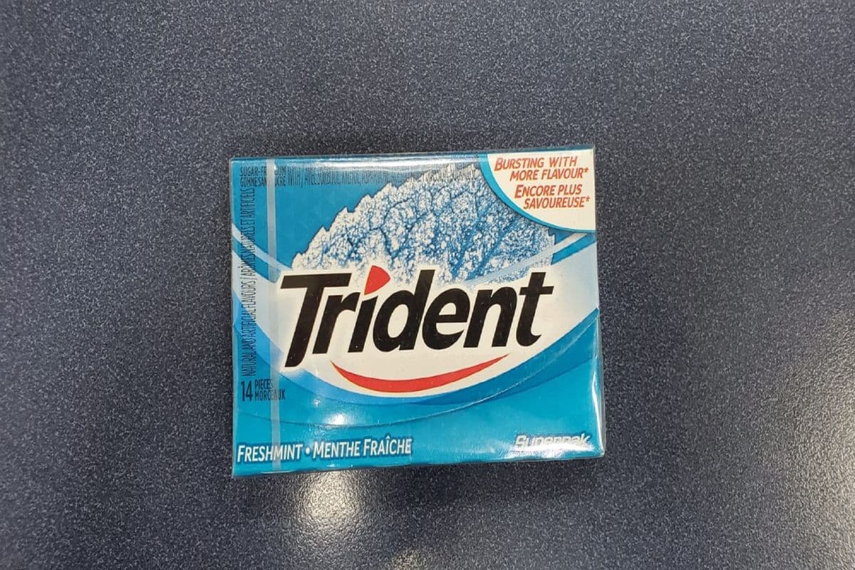 Trident Chewing Gum Fresh Mint (1 ct)