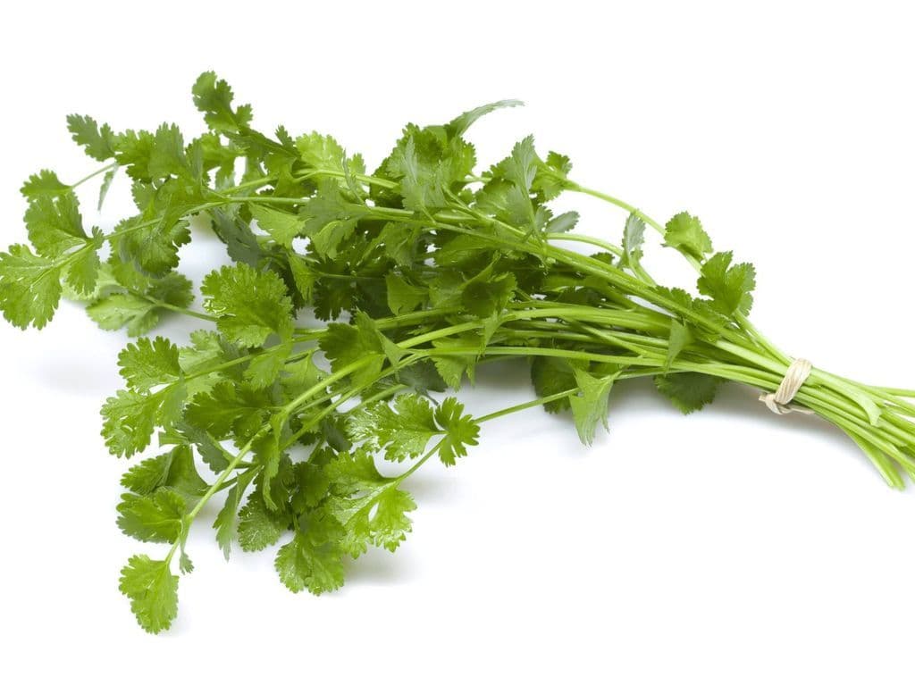 Cilantro (2 Bunch)