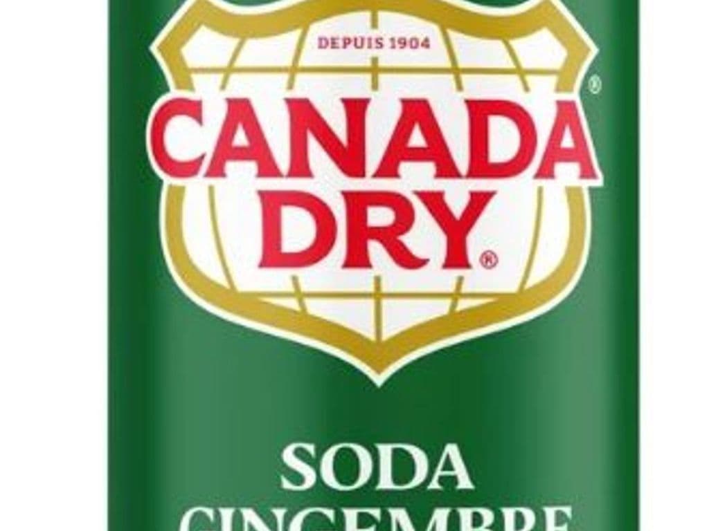 Ginger Ale (can)