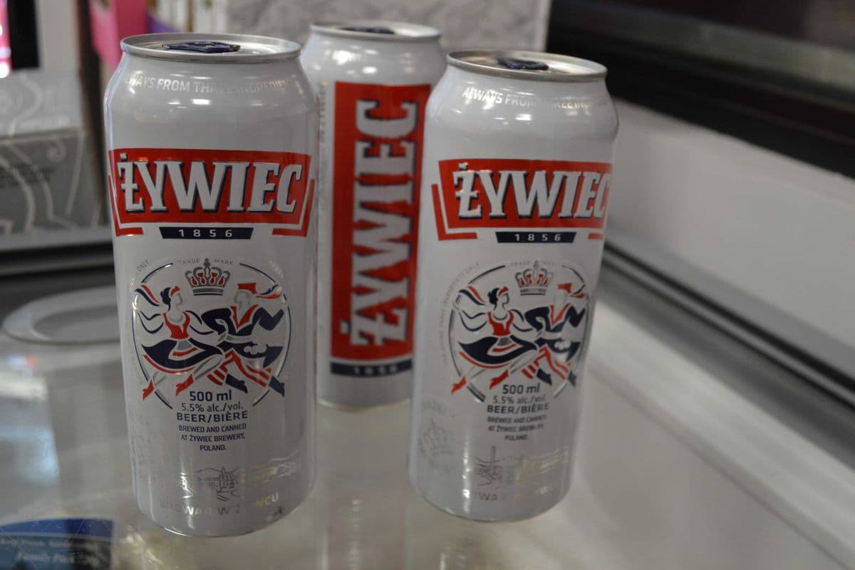 Zywiec Polish Beer (1 x 4x 500)