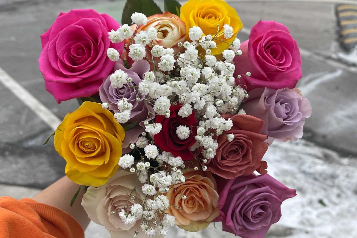 Assorted Roses - 1 Dozen (12 Stems)