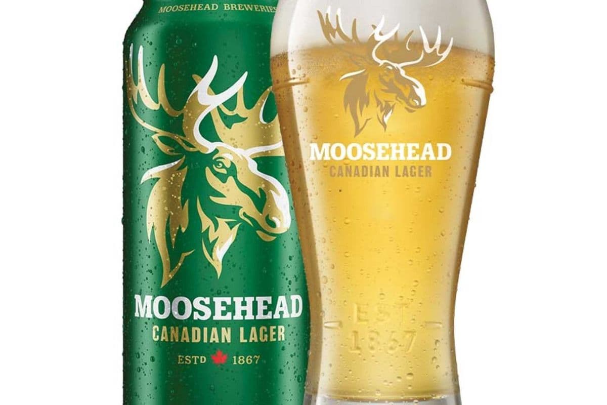 Moosehead Canadian Lager 473ml (1 x 473ml)