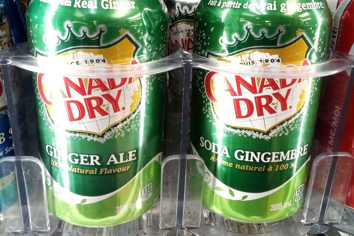 Canada Dry- Ginger Ale (355 ml)