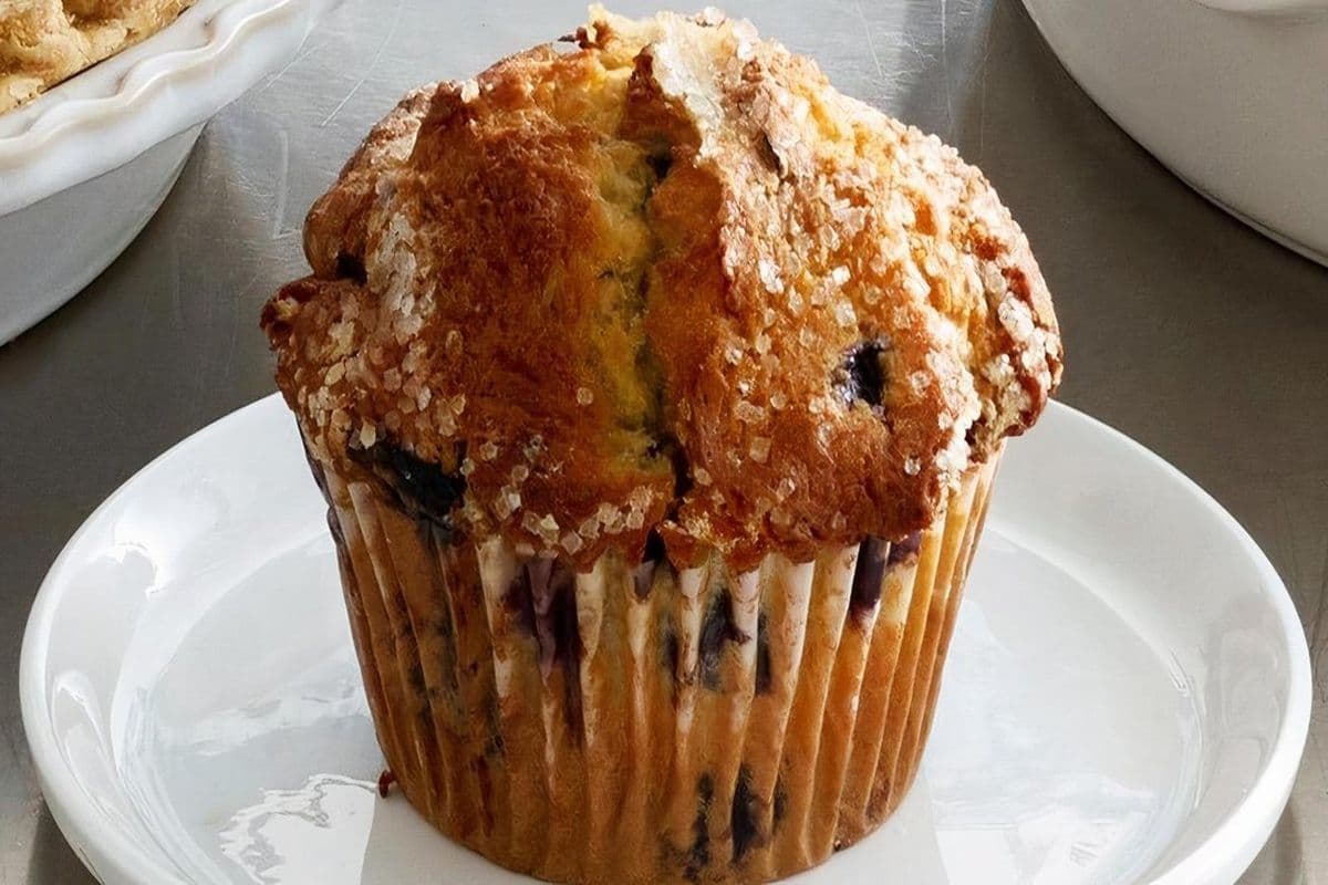 Mammoth Muffin