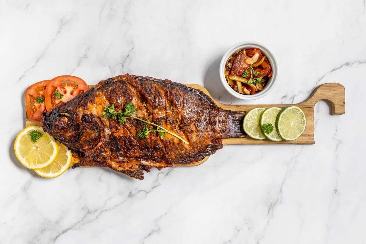 Tilapia (Medium)
