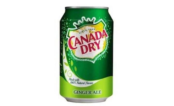 Canada Dry Ginger canette / Canada Dry Ginger Can