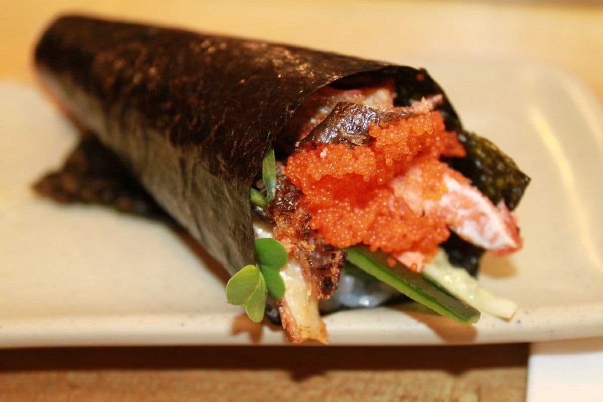 Salmon Skin HR