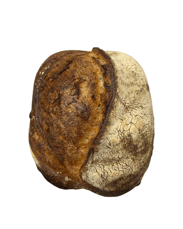 Sourdough Country Loaf