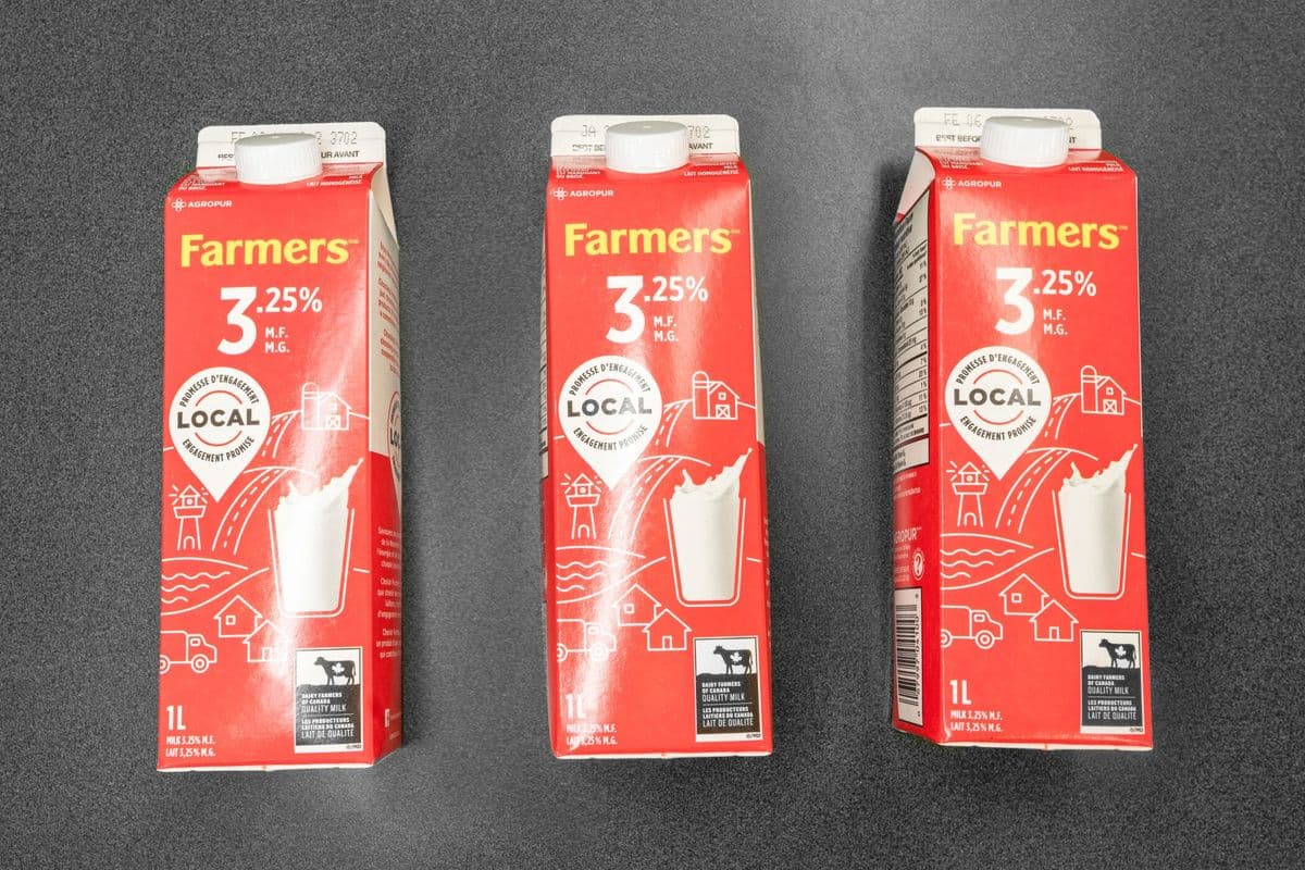 3.25% Milk 1L