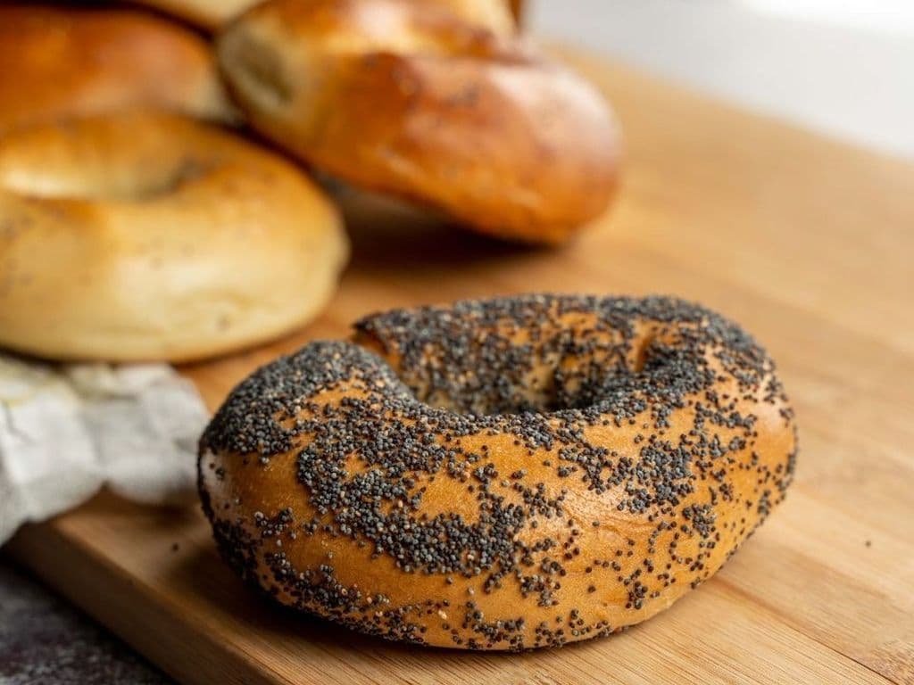 Poppy Seed Bagel