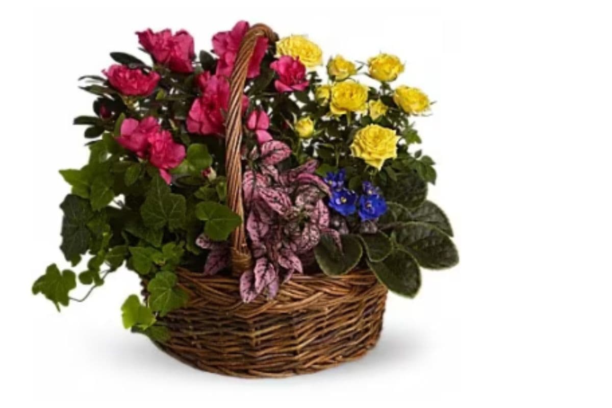 Blooming Garden Basket
