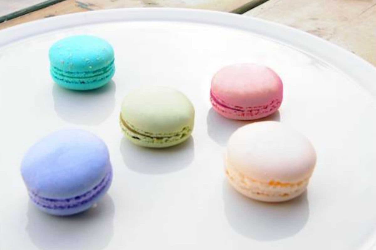 Macaron Dome (5 Pcs) 马卡龙