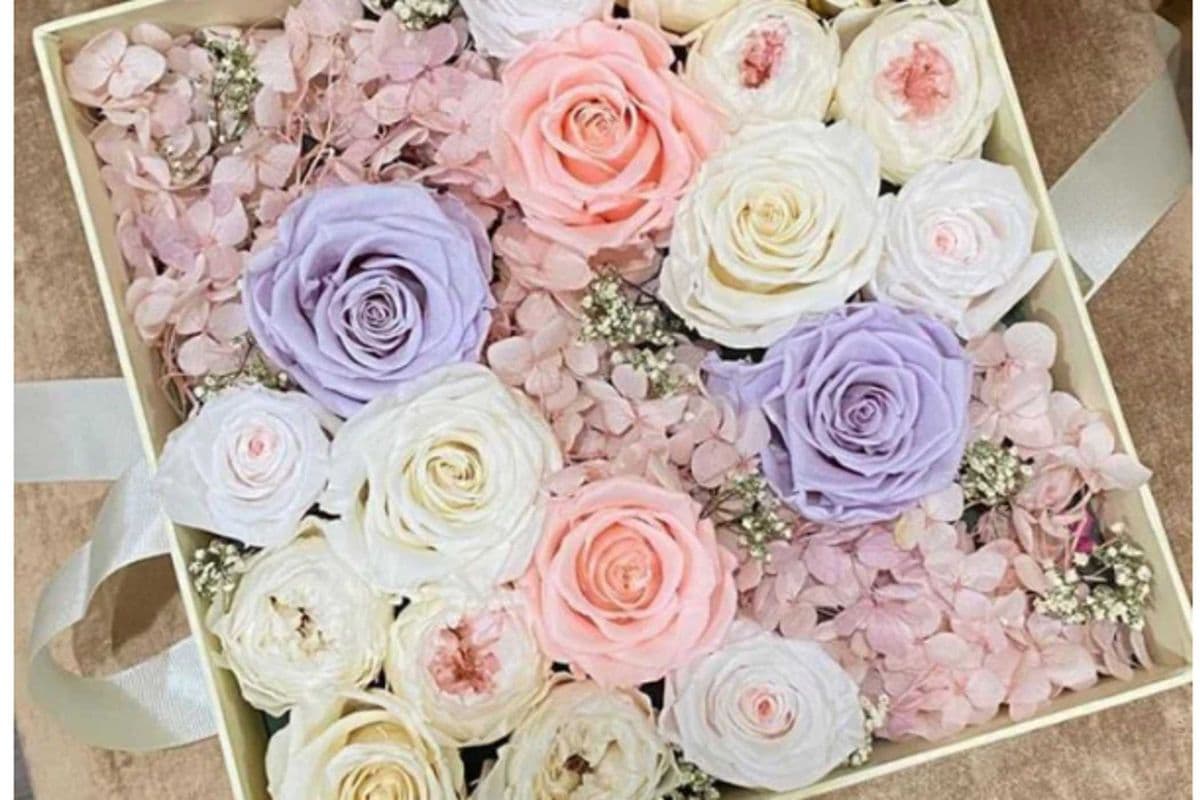 Fairytale Supreme Box