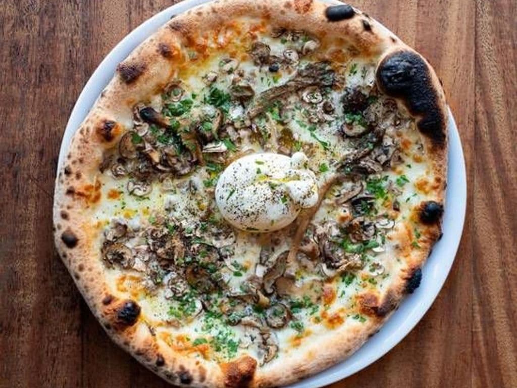Funghi e Burrata
