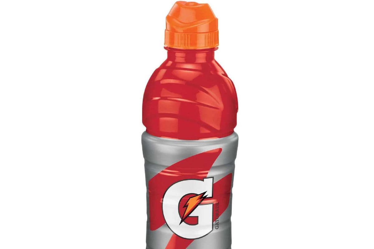 Gatorade Fruit Punch (710 ml)