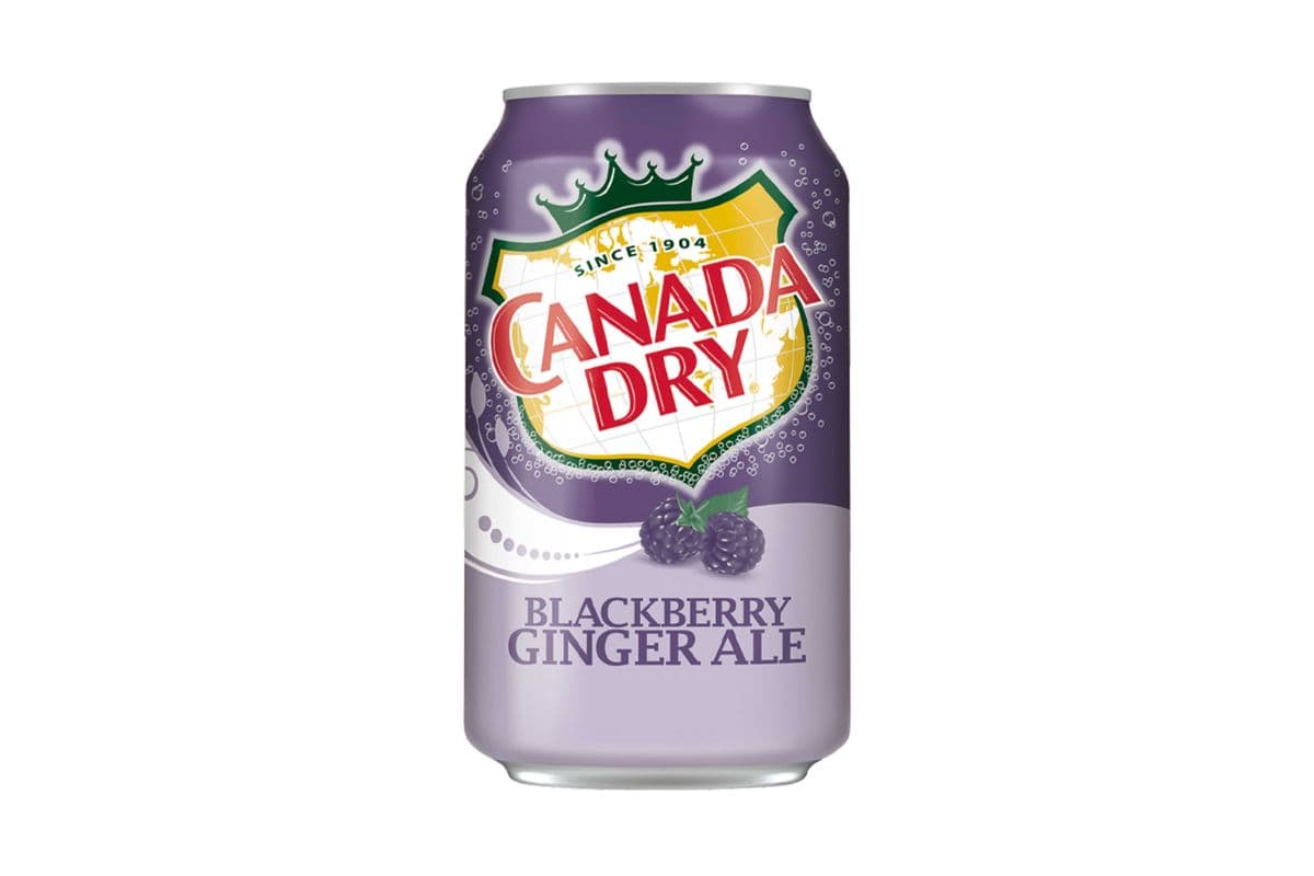 Canada Dry Blackberry Gingerale (355 ml)
