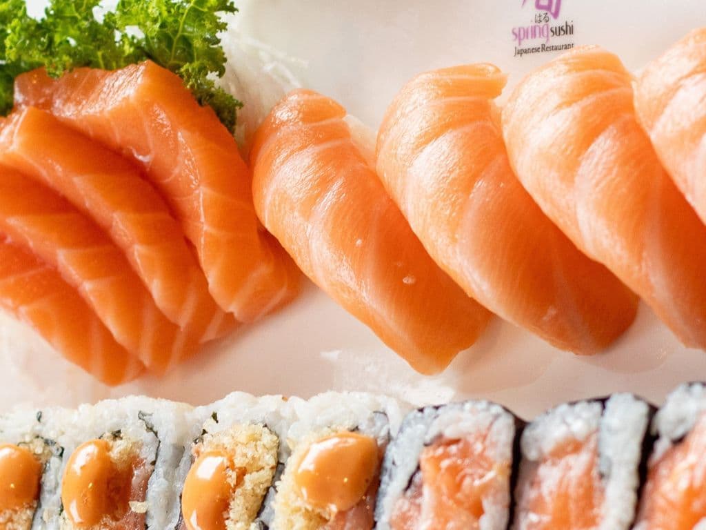 Salmon Lover Set [22pc]