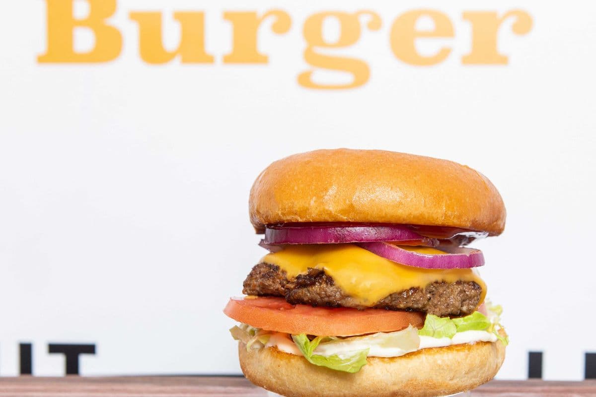 Cheese Burger