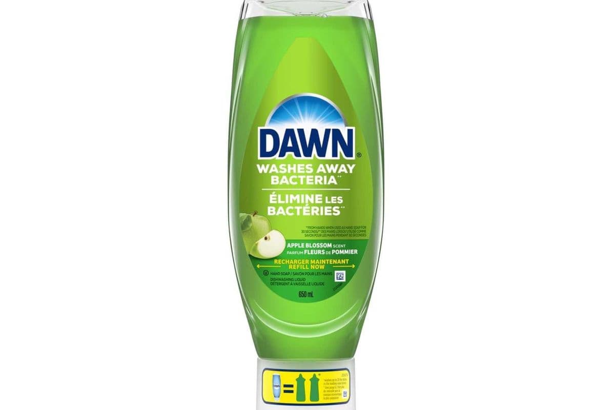 Dawn Apple Blossom Scent
