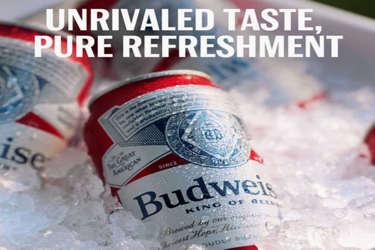 BUDWEISER (1 x 473ML)