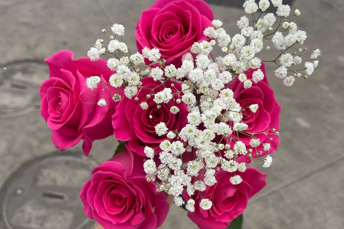 Dark Pink Roses - 6 Stems