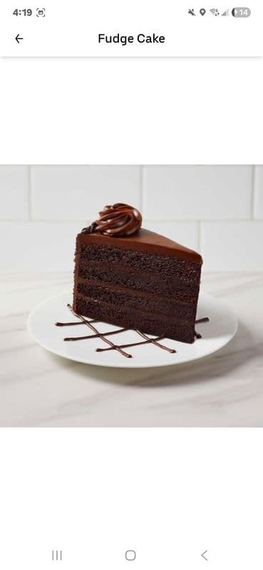 Fudge Cake