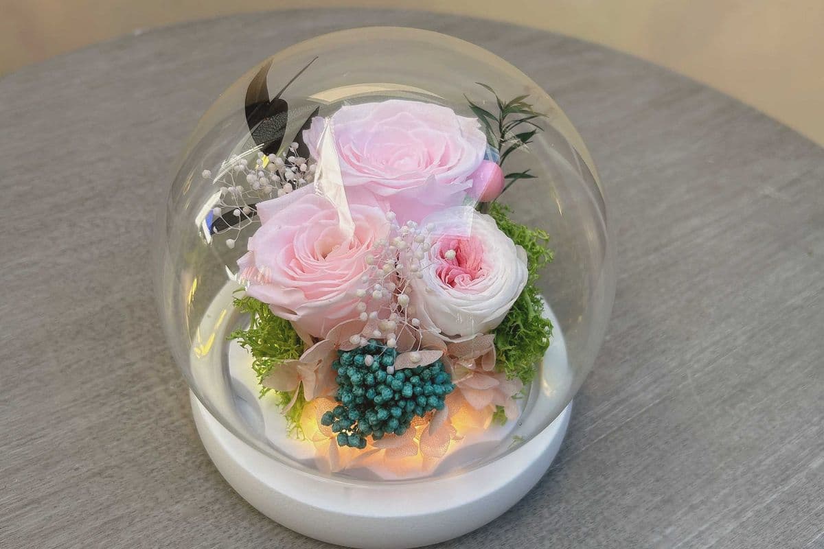 Preserved Flower Round Glass Dome #8 - Pink + White