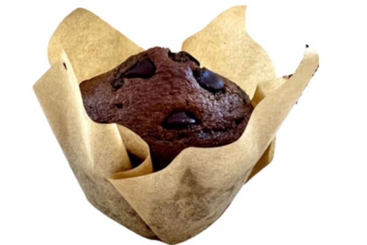 Double Chocolate Gluten Friendly Muffin