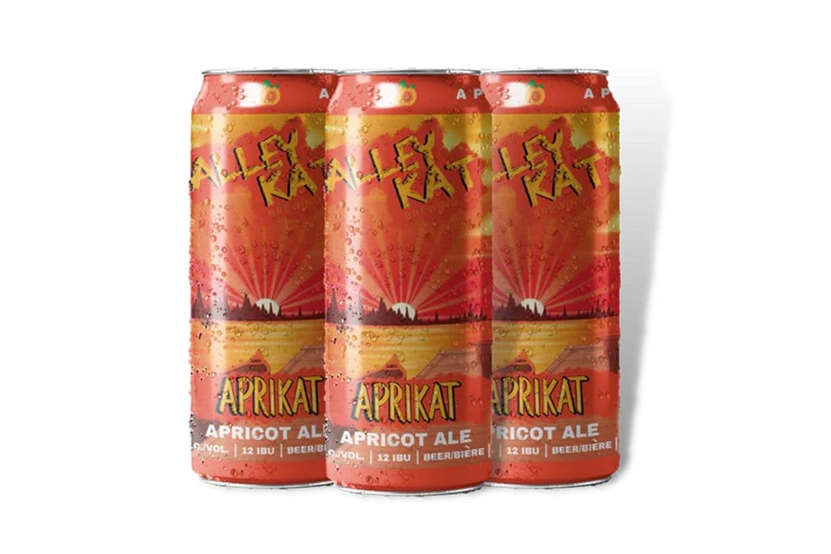 BRAVA 24 CANS (24 x 355 ML)