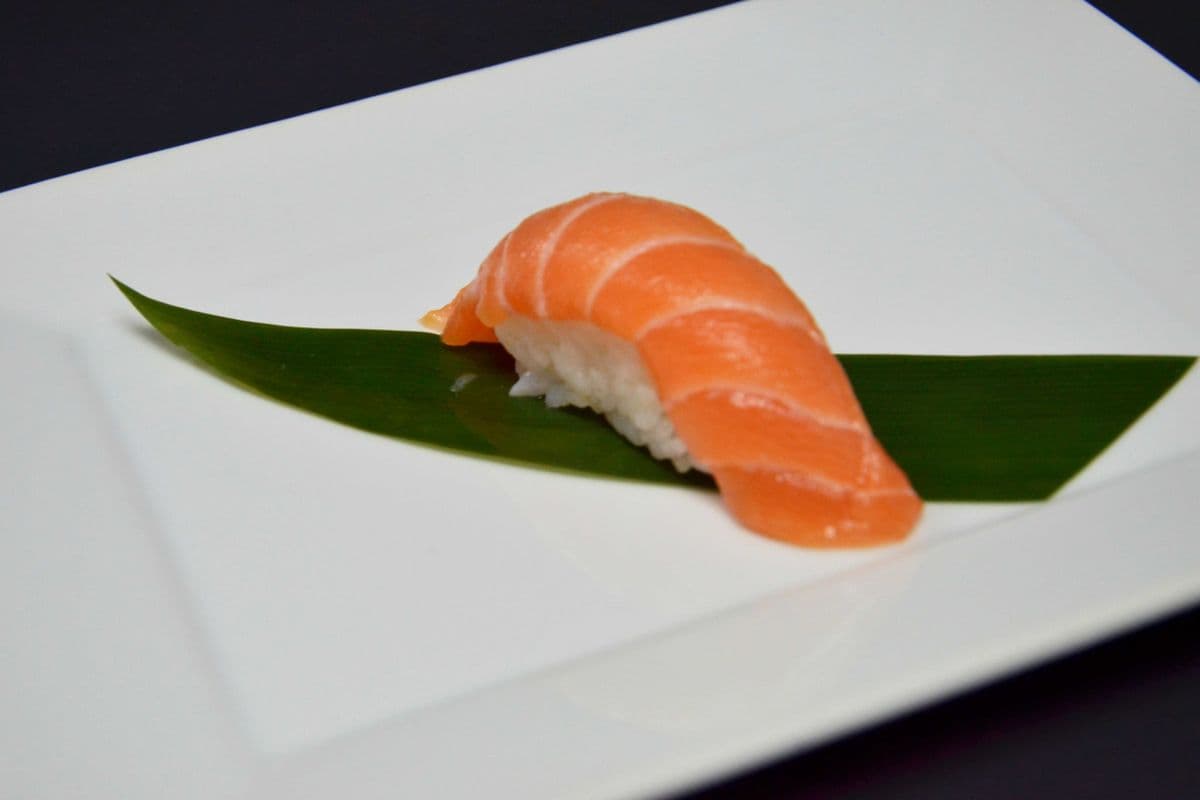 Salmon