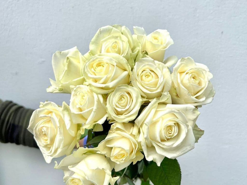 Flowers - Local Rose White (12 stems)