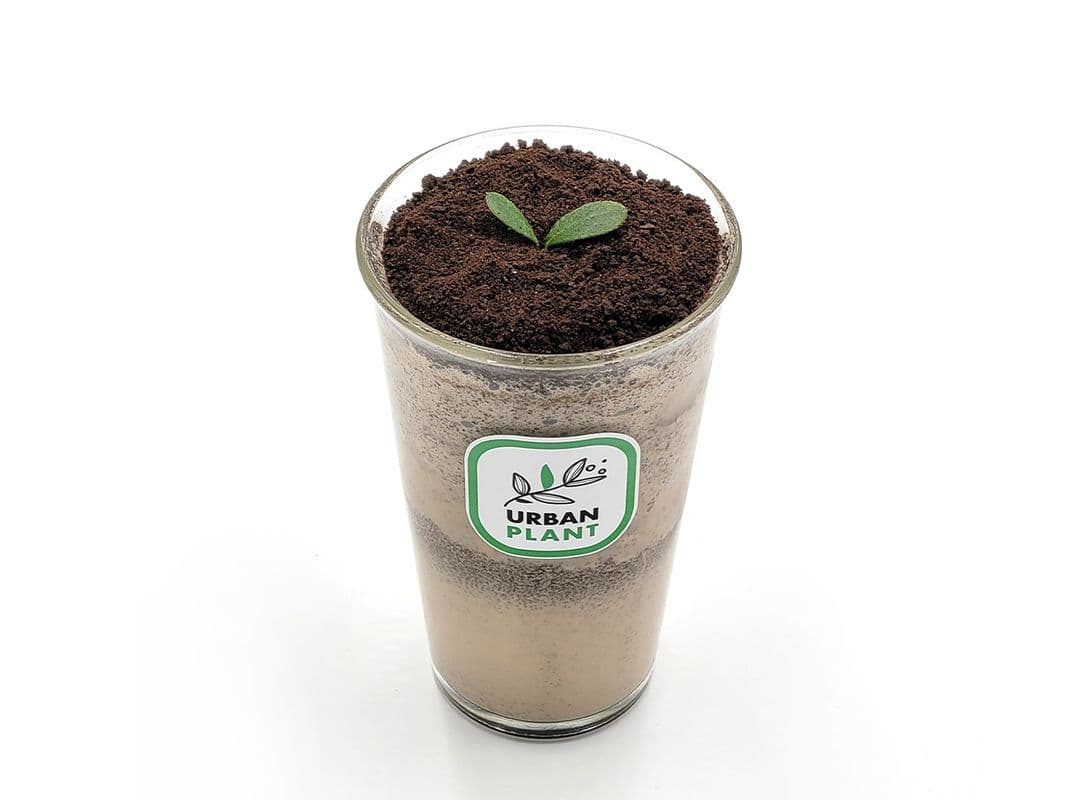 Oreo Frappe