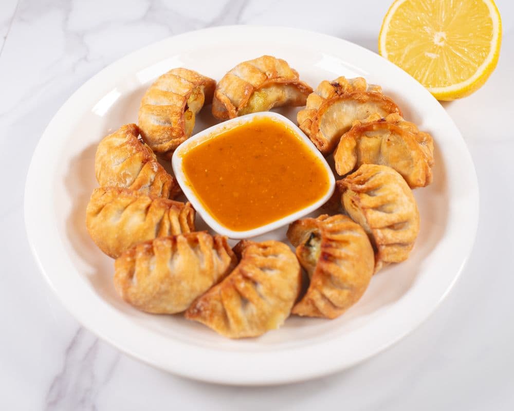 Veg Pan Fried MO MO (10 PCS)